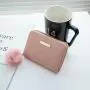Fashionable Embroidered Women's Wallet with Short Fur Ball Coin Purse Single Strap Card Bag with Portable Chains for Ladies