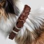Adjustable Leather Pet Collars Metal Hardware D-ring Collar