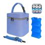 Wholesale Promotional Thermal Insulated Breastmilk Baby Bottle Lunch Cooler Bag Fits 6 Breastmilk Baby Bottles Cooler Tote Bag