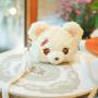 Plush shoulder bag plush small coin purse cosmetic bag popular bag, bears mesengers