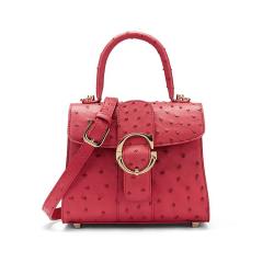 ODM OEM New Arrivals 2022 Ladies Luxury Genuine Leather Ostrich Skin Handbags For Women Shoulder Crossbody Bags Famous Brand