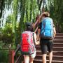 Custom Logo Climbing Travel Rucksack Sports Camping Hiking Backpack School Bag Pack For Male Men's Outdoor Backpack