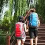 Custom Logo Climbing Travel Rucksack Sports Camping Hiking Backpack School Bag Pack For Male Men's Outdoor Backpack