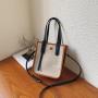 New minimalist and fashionable trendy design sensation crossbody bag for women
