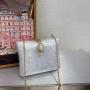 2024 Luxury acrylic shell purse ladies clutch bag evening bags high quality metal chain jewelry hand bags