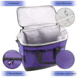 Free Sample Soft Leak Proof Liner Tote Insulated Cooler Lunch Bag for Picnic Boating Beach Fishing School Work