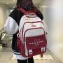 ZR887 New Design Student Backpack Fashion Girl School Bags Cute College School Backpack Daily Travel Business Laptop Backpack