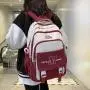 ZR887 New Design Student Backpack Fashion Girl School Bags Cute College School Backpack Daily Travel Business Laptop Backpack