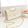 2024 bags for Women Handbags for Bags Shoulder Bags girl womens girls with chain or not to choose
