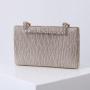 Delicacy temperament Wedding feast full dress match women date clutch high class evening bag