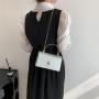 ZR391 Female 2023 Spring New Small Focus Design Chain Shoulder Bag Fashion Simple Small Square Bag Casual Crossbody Bag