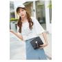 Korean Cute 2024 New Flower Tassel Alligator Single Shoulder Messenger Bag Women's Fashion Handbag Open Square  Button Handbag