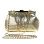 2024 New Chain Dress Handbag evening bag