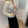New Fashion Trend Envelope Bag Women's Leisure Handbag