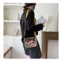 Fashion Entire Transparent PVC bag Customeization Mini Clear Women Crossbody Bag
