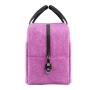 Insulated Lunch Bag for Women and Men Reusable Meal Prep Lunch Box for Work Adult Portable Tote Lunchbox with Comfortable Handle