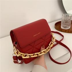 Popular Chain Small Bag for Women 2024 New Fashion Embroidered Wide Shoulder Strap Single Shoulder Bag Crossbody Bag Handbag