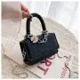 Cute Mini Portable Handbags Ladies Bags Women 2024 Women's Printed Fresh Literary Bag Single Shoulder Crossbody Chain Bag