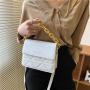 Popular Chain Small Bag for Women 2024 New Fashion Embroidered Wide Shoulder Strap Single Shoulder Bag Crossbody Bag Handbag