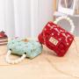 Factory wholesale Ladies Transparent Jelly Bag ladies handbag women's bag Korean style female shoulder crossbody bags