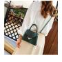 Korean Fashion Serpentine Personalized Portable BagSingle Shoulder Messenger Small Square Zipper Bag Luxury Female bag For Women