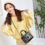 Wholesale factory women's handbag 2024 new design fashion women's shoulder bags small square crossbody messenger bags for women