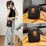 2024 Popular Latest Design Ladies Handbag Single Shoulder Crossbody Bag With Button Square Zipper Muti-Purpose Mini Ladies Bag