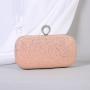 New Shiny Ring Handheld Fashion Dress Banquet Evening Bag