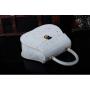 Custom Luxury Genuine Snake Skin Leather Crossbody Bags For Women Small Vintage Women'S Tote Handbags With Logo Manufacturer