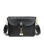 2024 Women's Printed Single Strap Small Fashion Messenger Bag Portable Fresh and Sweet Shoulder Bag