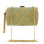 New fashionable gradient silk tassel banquet bag