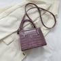 Women's Bag 2024 Summer New Trendy Small Square Bag Simple and Elegant Single Shoulder Crossbody Bag Ladies Handbag