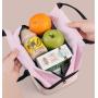 ZWY048 New Portable Handheld Double Layer Insulated Lunch Bag Work School Travel Oxford Handbag Outdoor waterproof storage bag
