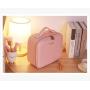 CY011 Professional Handheld Zip LED with Light Mirror Make-up Desktop Organizer Designer Bag Portable Battery cosmetic Case