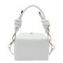 2024 new vertical stripes Square box bag embroidery line small handbag crossbody fashion shoulder bag