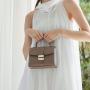 Luxury New Design 2024 Mini Bags For Women Small Ladies Purse And Handbags Shoulder Bags