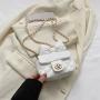 Textured small bag, new style, fashionable and foreign-style chain crossbody bag, spring and summer minority mini clutch bag