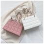 2024 New Women's Fashionable Lady Style Spring Handbags Solid Shoulder Messenger Purses Square Clutch Handbags