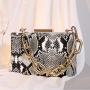 New Snake Pattern One Shoulder Retro Acrylic Chain Box Small Square Bag