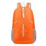 Factory Custom Logo Backpack Bag Hiking Travel Bag 210d Nylon Casual Foldable Back Packs For Men Women