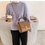 KBW480 New Frosted Women Bags Europe and The United States Chain Single Shoulder Crossbody Bag PU Ladies Handheld Retro Wing Bag