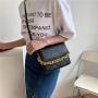 Popular Chain Small Bag for Women 2024 New Fashion Embroidered Wide Shoulder Strap Single Shoulder Bag Crossbody Bag Handbag