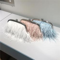 Top Quality Designer Luxury Famous Brands Women Evening Clutch Bag  For 2024 Various New Styles And Brands