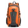 Custom Brand Waterproof Mountaineering Bag Sport Hiking Camping Rucksack Portable Multi Functional Sports Bagpack