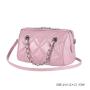 Factory Wholesale 2024 New Chain Pillow Fashion Simple Handbags Women Shoulder bag