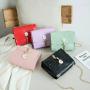 Korean Cute 2024 New Flower Tassel Alligator Single Shoulder Messenger Bag Women's Fashion Handbag Open Square  Button Handbag