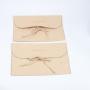 Custom Logo Printed Underwear Packaging Envelope Bag Cotton Lingerie Bag