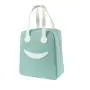 LB010 Wholesale Lunch Bag For Kids Ice Pack Lunch Box Bag Insulation Package Insulated Thermal Food Picnic Boxs Pouch Lunch Bag