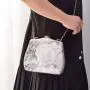 New Style Europe America Evening Bag Popular Portable Handtaschen Frau Stone Grain Bag Shell Type Fashion Design Messenger Bag