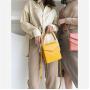 Custom fashion women handbag embossed lizard pattern mini crossbody shoulder bag